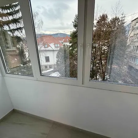 Spacious Downtown By Managr Apartment Brasov